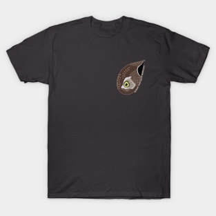 Northern Pygmy-Owl (Small Text) T-Shirt